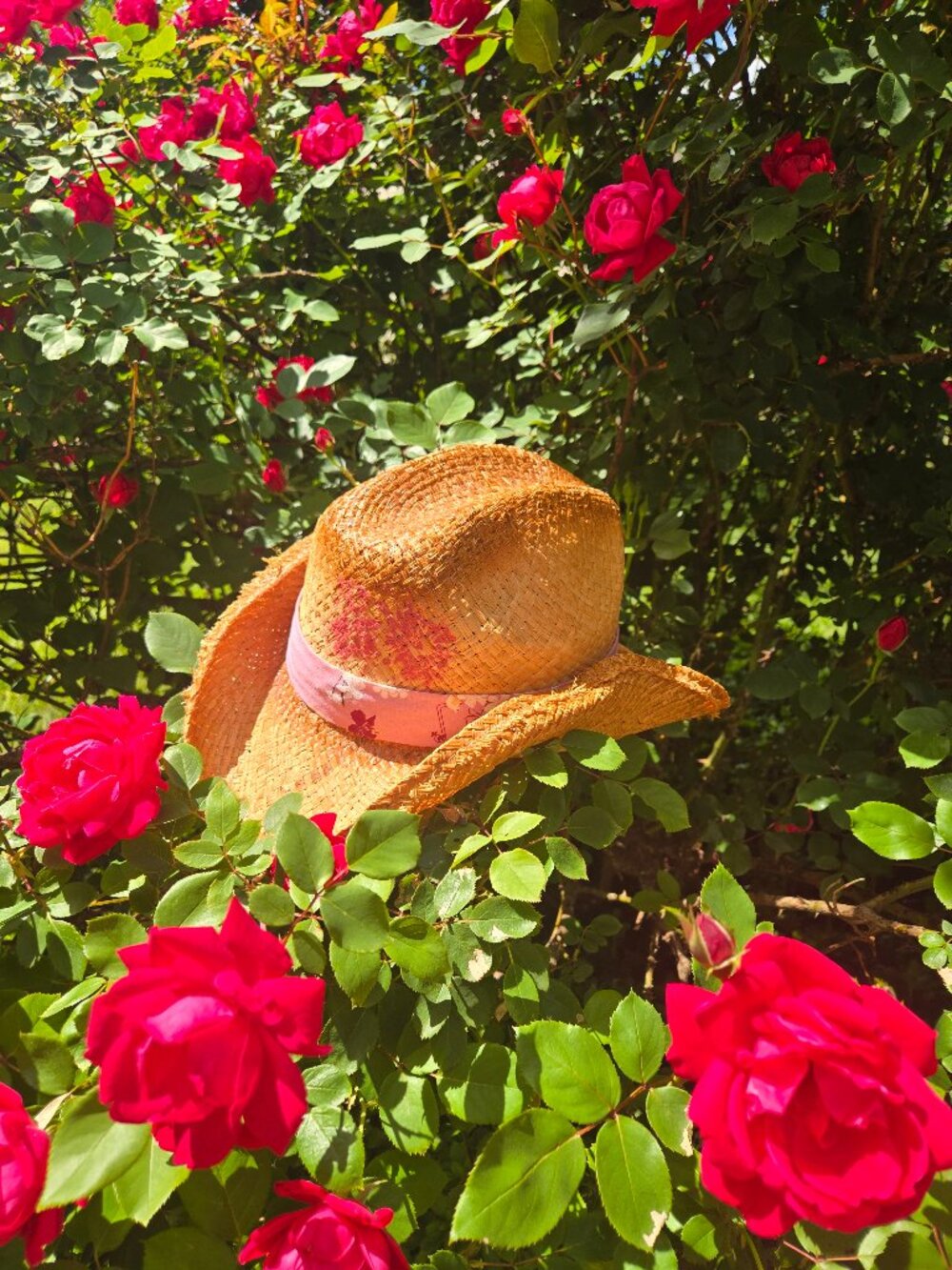 Natural fiber Cowboy /cowgirl hat with lilac decor